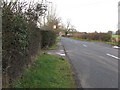 View north on the Coolham to Brooks Green road