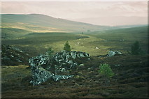 NJ0435 : Rocks by the track to Auchnagallin by Les Shaw