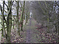 TL6455 : Footpath to Burrough Green by Hugh Venables