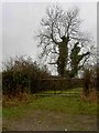 Field gate near Cold Ashton