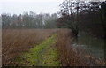 Gipping footpath in winter