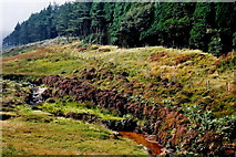 SC2376 : A27 - Stream east of Slieau Mooar Plantation  by Joseph Mischyshyn