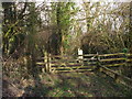 Entrance to Penhow Woodlands Nature Reserve