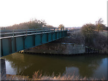 TL4593 : Stonea railway bridge by Hugh Venables