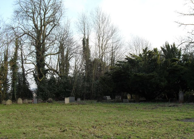 Distant snopdrops in the "new" churchyard at Treyford
