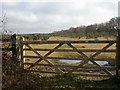 Plain Heath, gate