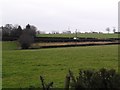 Edenballycoggill Townland