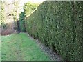 Footpath, Damerham