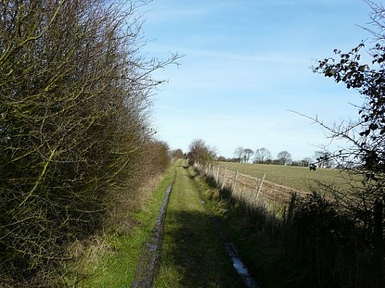 Track between Braeside Farm and Lone Barn Farm