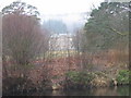 NY8183 : Hesleyside from across the River North Tyne by Les Hull