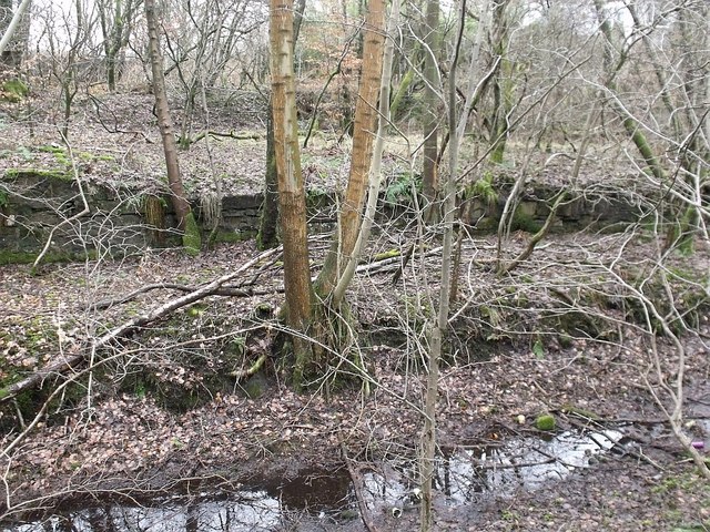 Colzium Station, Kilsyth © Robert Murray :: Geograph Britain and Ireland