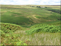 NY9847 : The cleugh of Beautie Sike and the valley of Burnhope Burn by Mike Quinn