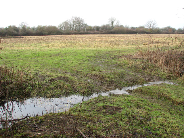 View across meadow towards railway line