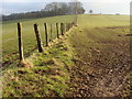 Field boundary near the Grondra