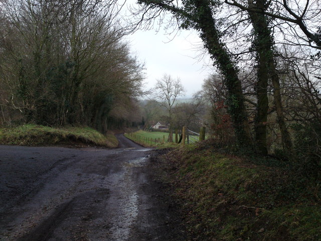 Looking from outside Glebelands Farm towards Hambledon