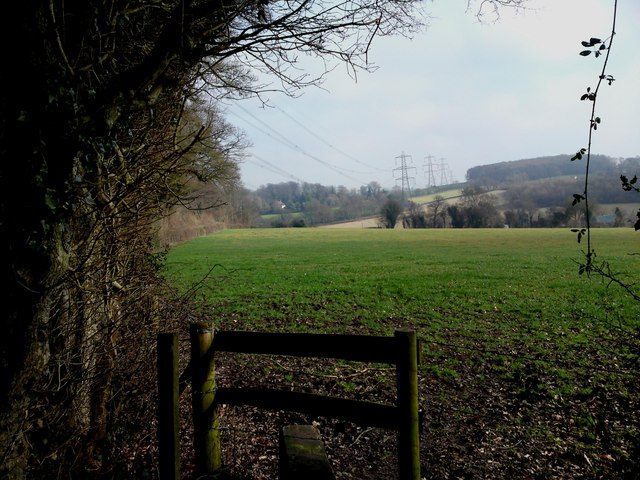 Looking from Madam's Copse