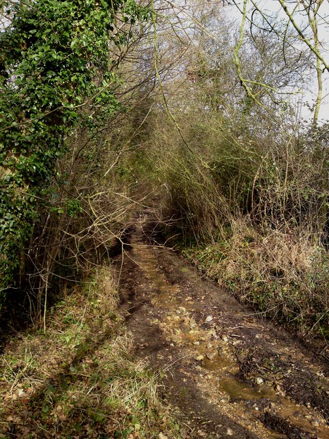 Habens lane becomes a stream after heavy rainfall