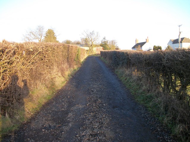 Titrail Lane To The Common