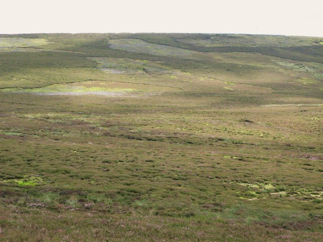 Horseshoe Plain and Horseshoe Hill