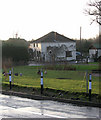 Poultry in meadow beside Acle Road