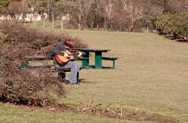 Guitarist in Central Park - Plymouth