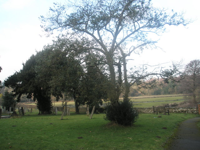 Looking northwards from St Mary's Churchyard, Frensham