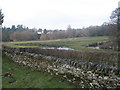 Water meadow behind St Mary