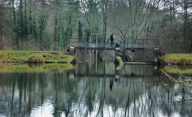Royston Water: Bridge over the Weir