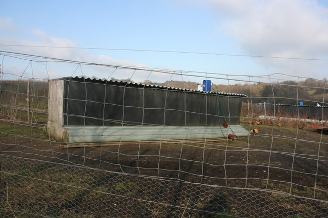 Chicken shed by the bridleway