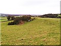 Ballystokes Townland