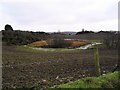 Brown landscape at Ballytrustan