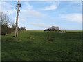 Power lines in field corner near Common Lane