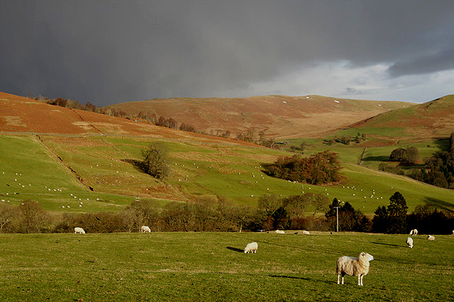 Farmland at Hillhead