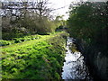 Stream through Berrylands