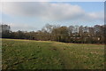 Footpath across a field north of Boyle