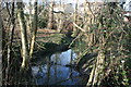 Small stream south of Lister Avenue