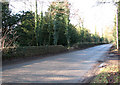 View west along Brettenham Road