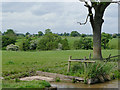 Cheshire pasture land near Ravensmoor