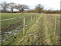 Footpath at Gilbert