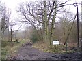 Bridleway into Bitchet Common