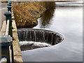 Hollingworth Lake Weir