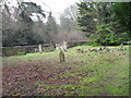 The churchyard at St Matthew, Blackmoor (9)