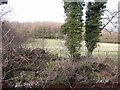 Fields over the Noddsdale Water