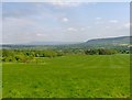 Green field from Chipping Lawn