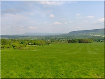 SD6244 : Green field from Chipping Lawn by Bill Boaden