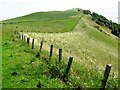 Footpath across The Binn