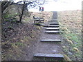 NZ0737 : Footpath steps leading out of Demesne Mill Picnic Area Wolsingham by peter robinson