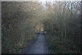 TQ4235 : Forest Way & Sussex Border Path by N Chadwick