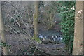 Boggy pond by the Forest Way