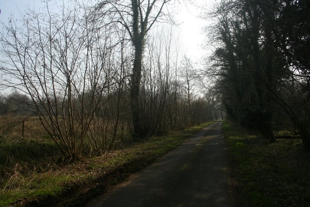 Butter's Hall Lane